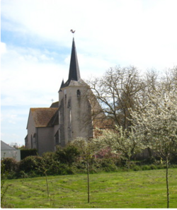 Cher - Belleville-sur-Loire