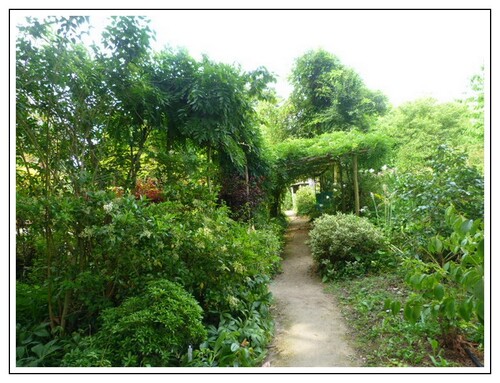 Le jardin de La Petite Rochelle 