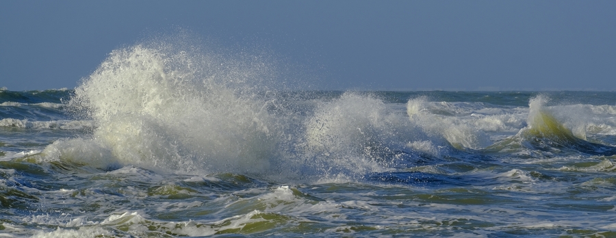 Vagues et plumes.