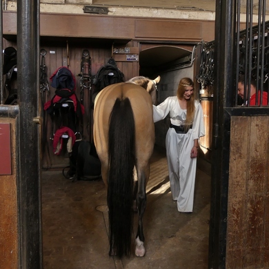 Chantilly : les grandes écuries et le musée vivant du cheval...