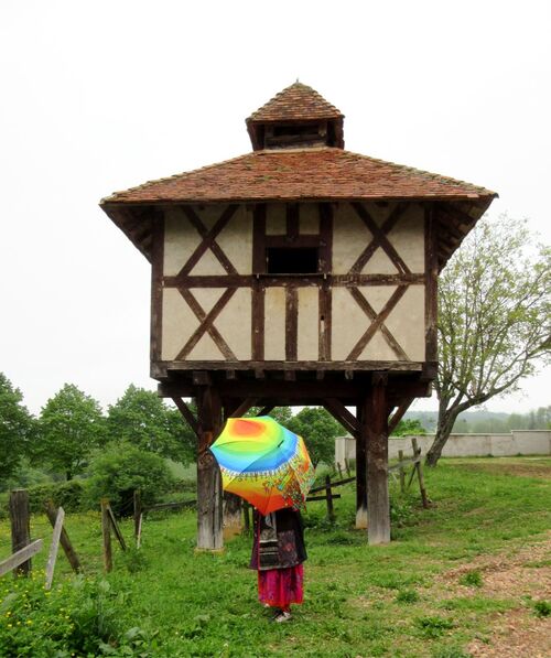 Parapluies colorés en balade... 