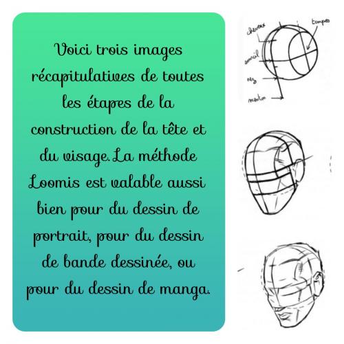 Dessin et peinture - vidéo 3328 : Comment dessiner une tête en utilisant la méthode Loomis ? - dessin.