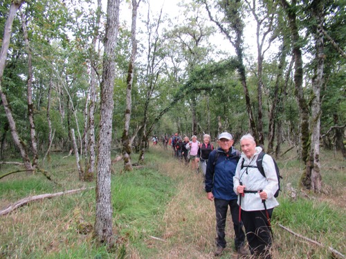 "Forêt de Liau" - Mercredi 25 septembre 2024