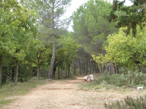 Plateau de la Sérignane