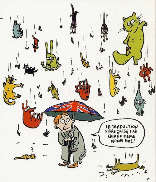 English idioms: It's raining cats and dogs