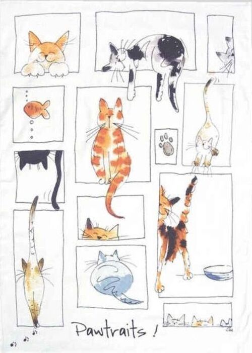 Cats types fantaisies