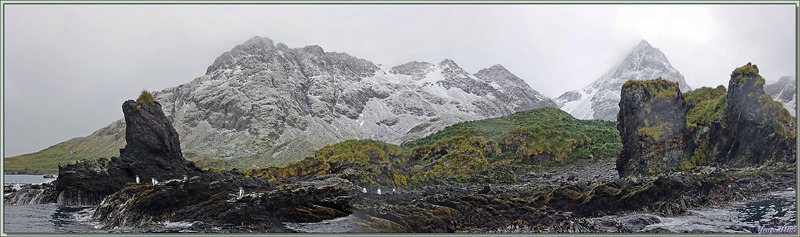 Ambiance feutrée : montagnes embrumées et saupoudrées de neige fraîche - Cooper Bay - Géorgie du Sud