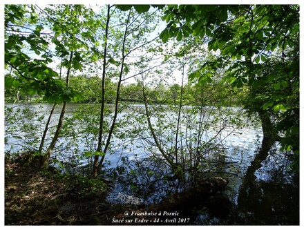 Sucé sur Erdre - Loire Atlantique 