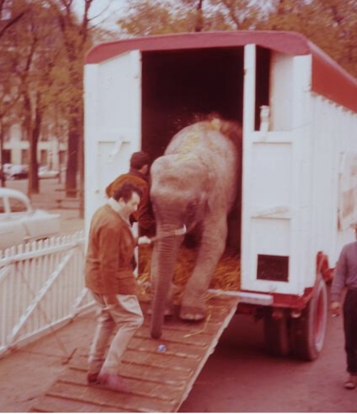 Jean Richard en 1957 dans son premier cirque direction Gruss-Jeannet