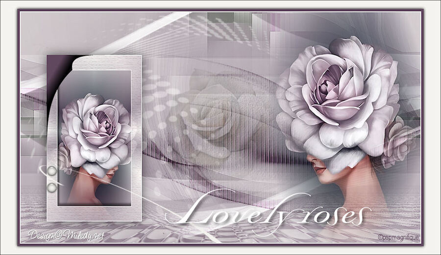 ♠ Lovely Roses ♠