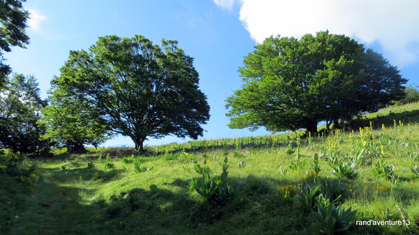 Lafon- Prat de Bouc