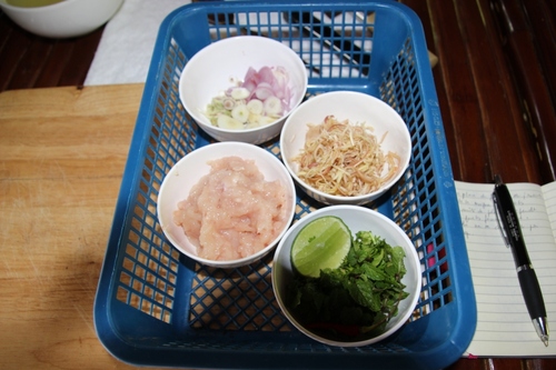 Rouleaux de printemps au Laos, c'est Guy qui cuisine