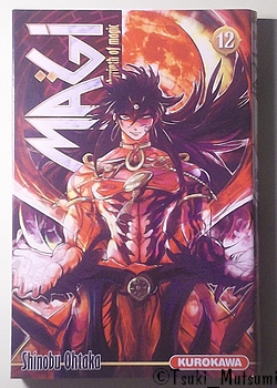 Magi - The Labyrinth of Magic - tome 12