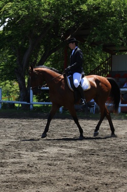 dressage du 11 mars 2012