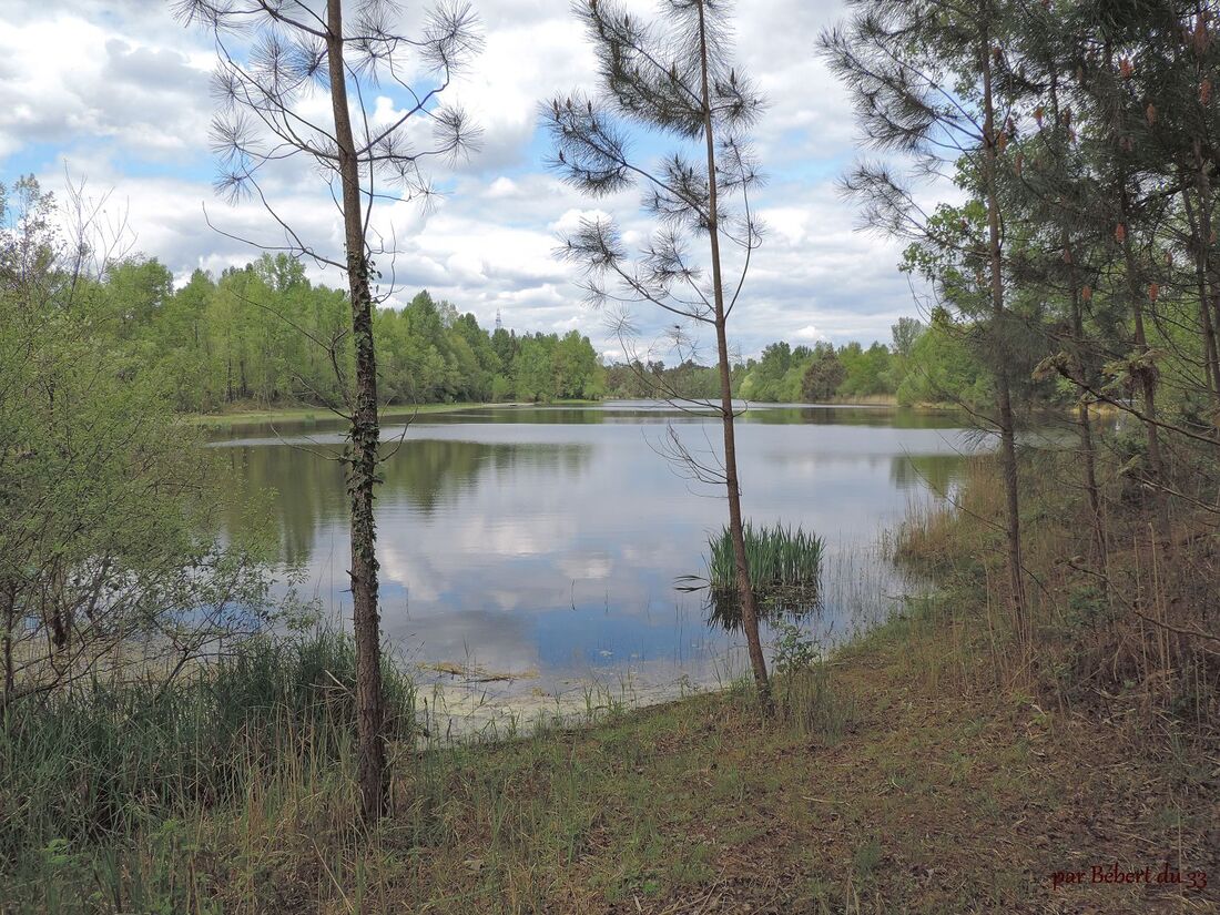 le lac de Saint-Christoly (33)