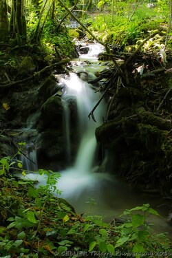 Les ruisseaux - saint jean de chevelu - Aout 2016