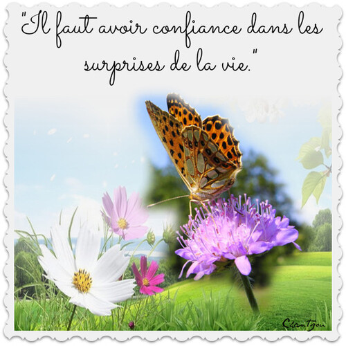 bon week-end .... gros bisous ....