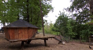 La cabane dans les arbres, à suivre ... 