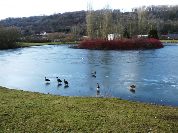 Lac gelé en Normandie