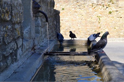 CARCASSONNE  SA FORTERESSE MEDIEVALE SEPTEMBRE 