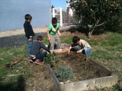 Nettoyage de printemps au jardin.