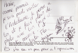 Premiers retours de voyage de mon loup aplati voyageur