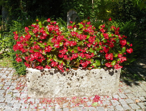 Le cimetière de Nances