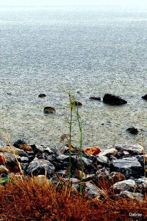 Barcarès : la pluie sur le lac marin à Leucate