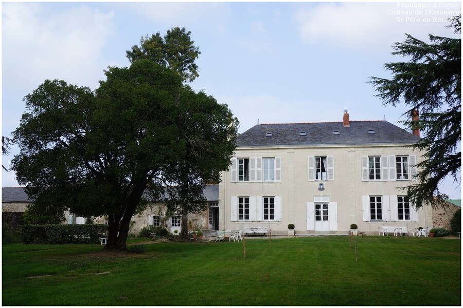 Château de l'Estunière à St Père en Retz