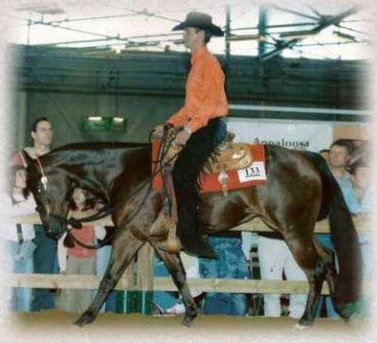 Disciplines Equestres Western - Tout sur le Cheval