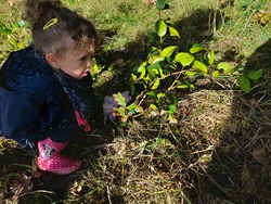 Maternelle : faire classe dehors