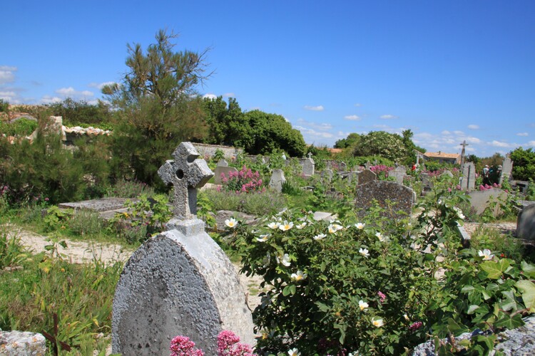 TALMONT SUR GIRONDE (17)