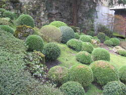 vendredi12 avril : une journée incroyable dans les jardins d'Albert Kahn