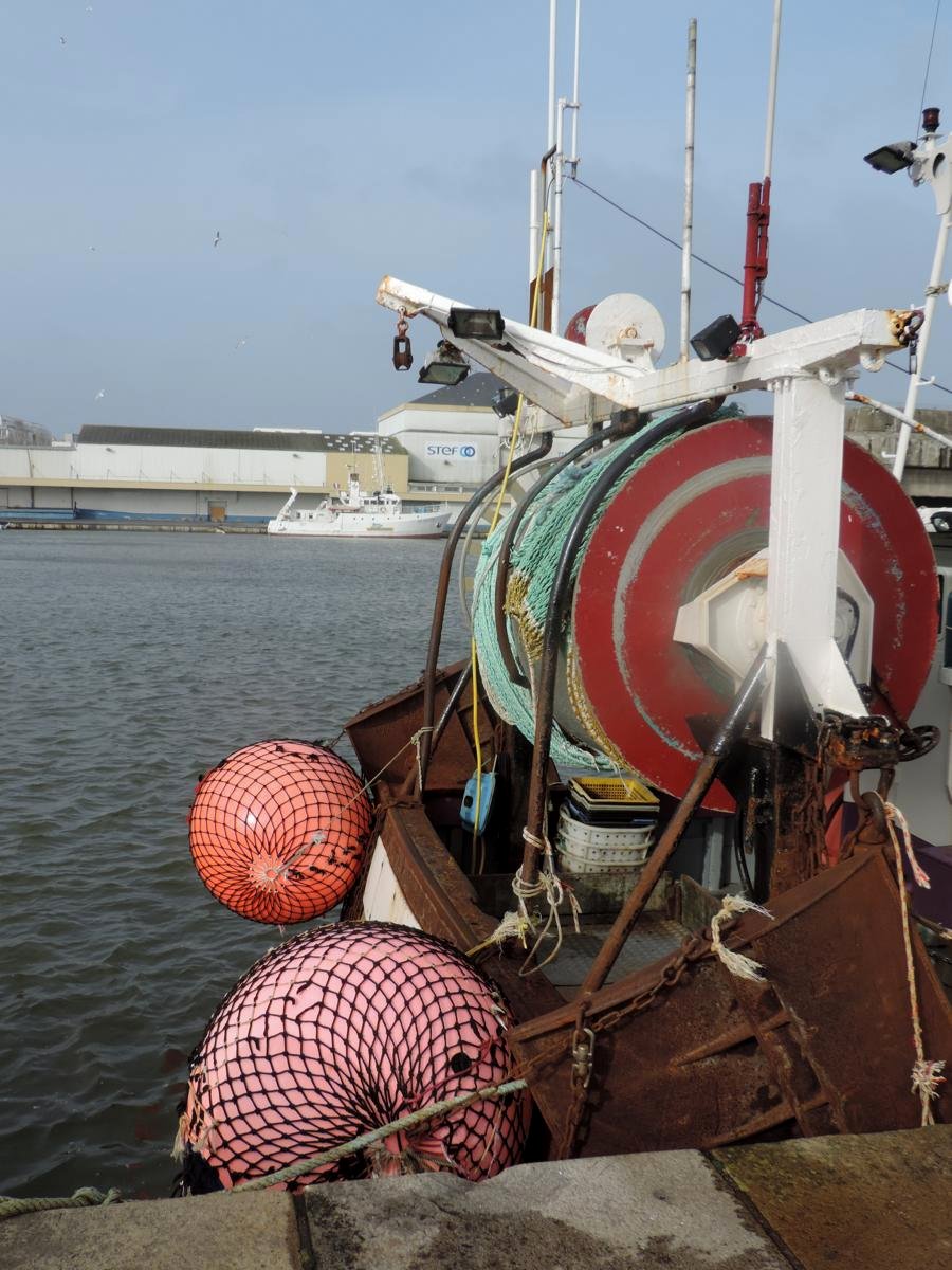 A l'abri dans le port....