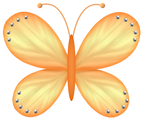 DECO PAPILLON