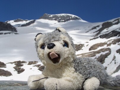 mascotte en montagne