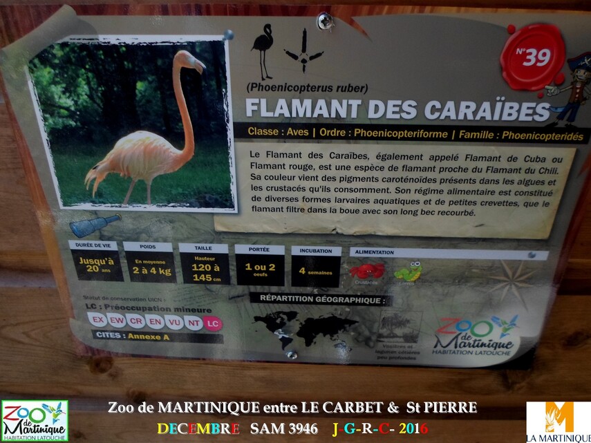  ZOO de MARTINIQUE 2/5 - 12/15  LE CARBET  972      D  15/01/2018 