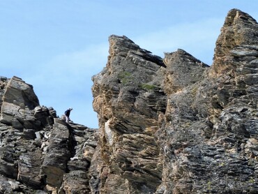 Vue du Col des Fours (2976 m) - Sur Pointe des Fours (3072 m)