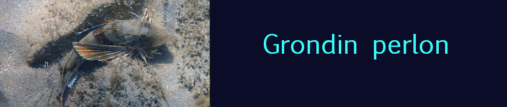 grondin perlon