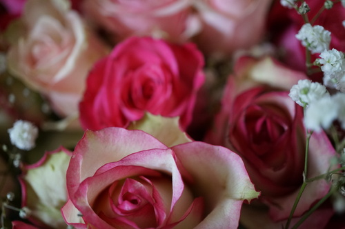 une corbeille de 50 roses pour les 50 ans d'une amie