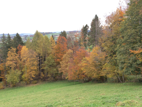 Bel automne à tous