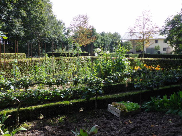 une autre découverte jardin...