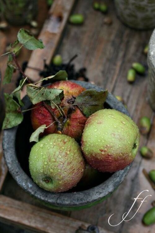 Belles pommes