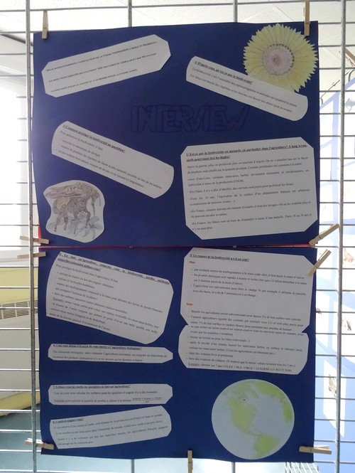 Au Lycée Désiré Nisard, les élèves et leurs professeurs ont présenté une très intéressante exposition sur la biodiversité