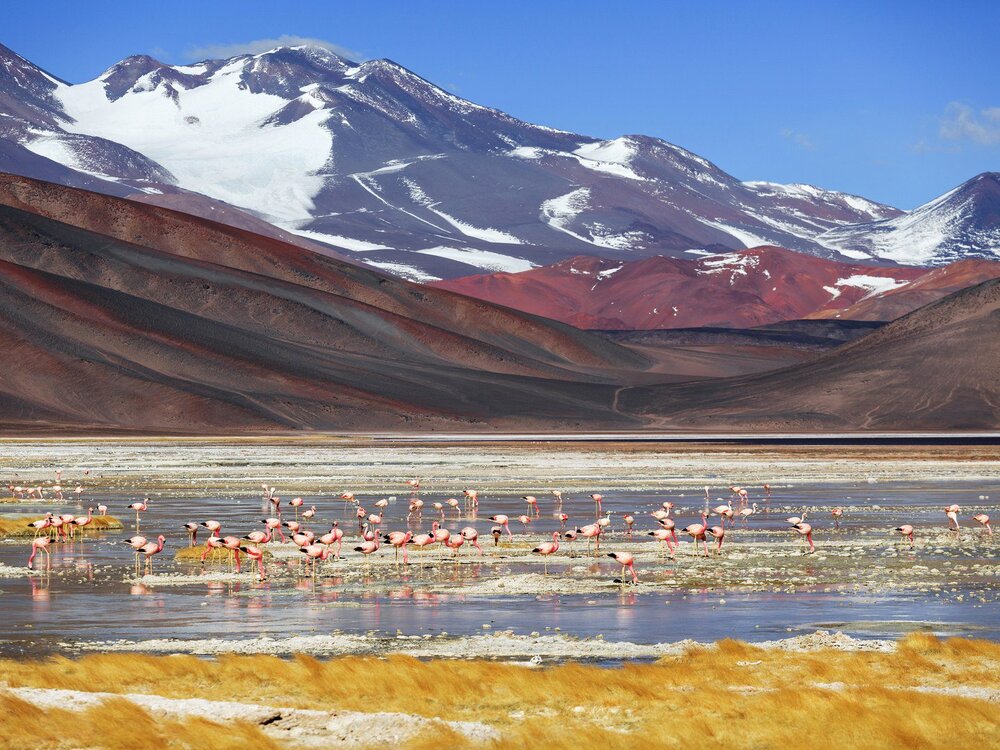 L'Argentine doit être votre prochaine destination