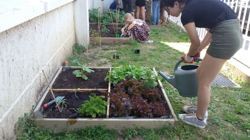 Travail au  jardin.