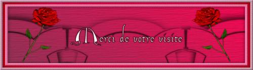 La rose