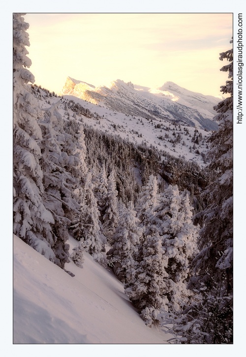 Ascension hivernale du Moucherotte - Vercors