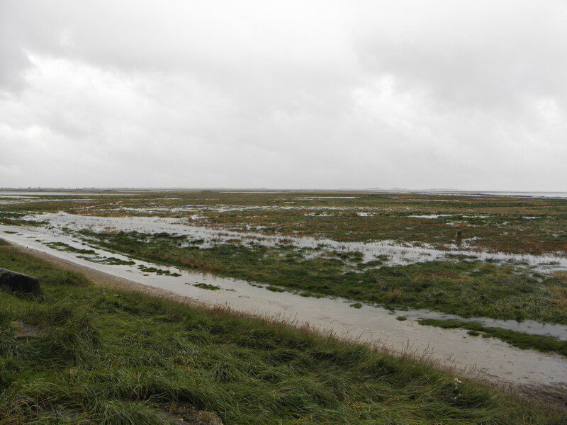 Dans la baie de Somme