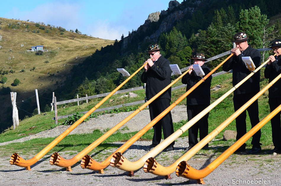 transhumance alsace vosges cors alpes